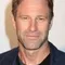 Aaron Eckhart filmleri